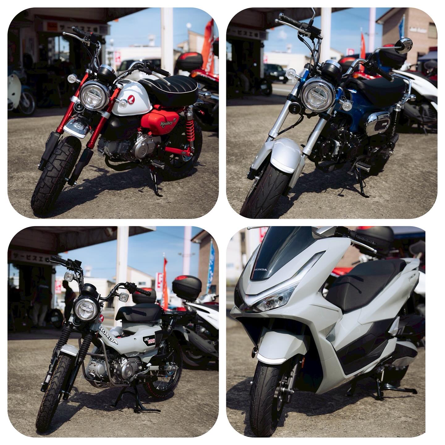 125ccバイク。
日常使いの最強のバランスが魅力です。250cc以上のバイクに比べ維持費が安く、また、50ccのバイクでは必要な二段階右折等が不要です。
車体が軽く、足つきの良いモデルが多いので、女性やバイク初心者にも扱いやすいバイクです🤗

※ 写真のバイクは在庫切れの場合がございますので、購入を検討の方はお問い合わせ下さい。

#モンキー125 #ダックス125 #ハンターカブ #PCX #オートパークSKY #宮崎